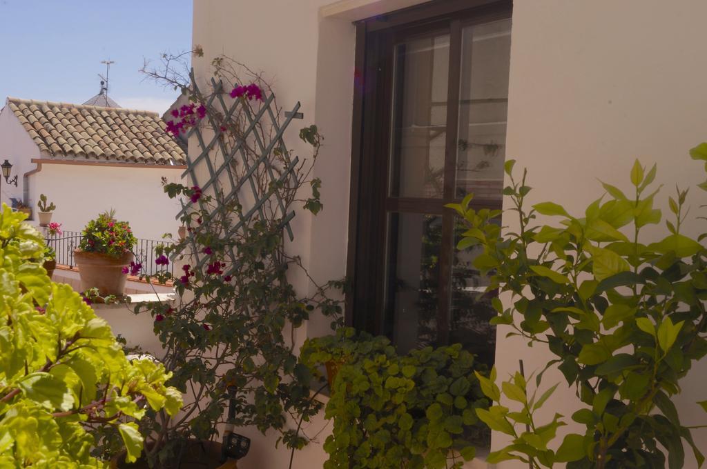 Ferienwohnung Penthouse Puerta De La Juderia Córdoba Exterior foto